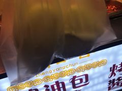 -津悦·正阳春烤鸭(红旗南路店)
