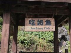 -大连天门山国家森林公园