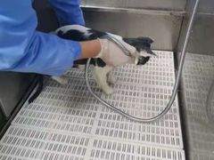 -宠颐生宠物医院·心肾内科·猫专科诊疗中心宠巢店