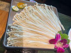 -老灶堂文创火锅(文艺路店)