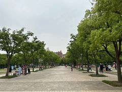 -新江湾城公园