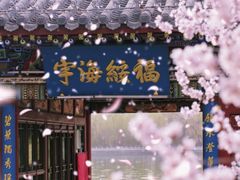 -迎泽公园