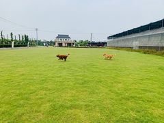 -菊园百果园