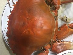 -老字号蛇口德记烧腊饭店·海鲜加工