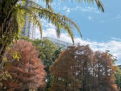 -四海公园(南山区)