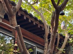 -VOYAGE COFFEE(杨梅竹店)