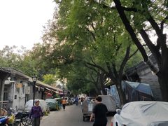 -北京国子监胡同
