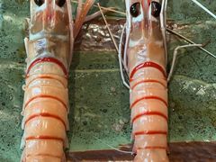 -Minase水濑·日料放题(外滩店)