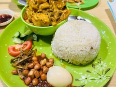 传统椰浆饭-热浪岛马来餐厅