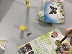 -上海昆虫博物馆