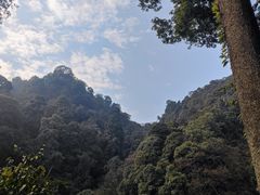 -青城山