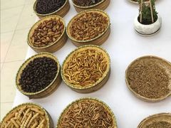 -祥云美食城(南强步行街店)