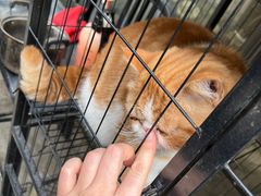 -臻鲜燕海鲜融合餐厅(金陵style店)