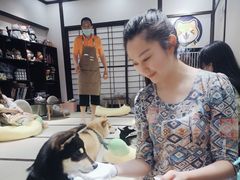 -逗柴咖啡屋·狗咖猫咖宠物桌游