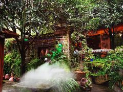 -青城甲(青城山店)