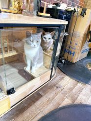 -青木造型HAIR·あおき髪を刈る潮人店