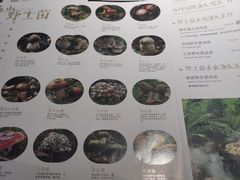 -蘑界·野生菌火锅(深业上城店)