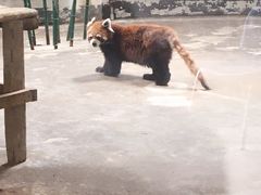 -哈尔滨北方森林动物园