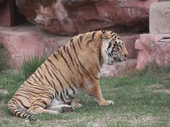 -鄂尔多斯野生动物园