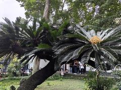 -成都杜甫草堂博物馆