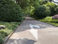 -上海虹桥迎宾馆