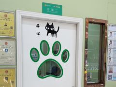 -瑞鹏宠物医院·夜间急症·心超·猫科(祖庙分店)