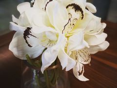 -VESH COFFEE(定西路店)