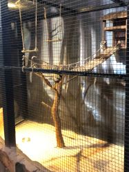 -酷嗒动物文化乐园(cutezoo西溪乐天城店)