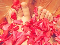 -尊尚柏丽美容SPA
