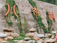 -八奇洞景区