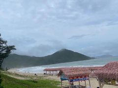 -西涌国际滨海旅游区