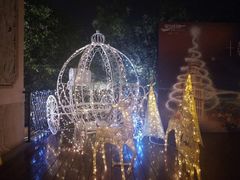 -上海浦东星河湾酒店