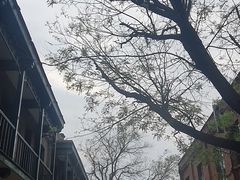 -绿地·中山里