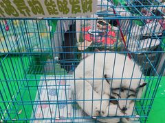 -万达广场(沈阳铁西店)