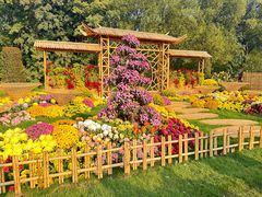 -上海共青森林公园