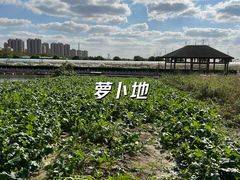 -菊园百果园