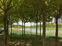 -正顺饸饹馆(中土商务楼店)