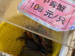 -莲花公园煎蟹(总店)