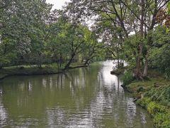 -西溪国家湿地公园