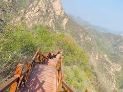 -大岭沟猕猴桃谷风景区