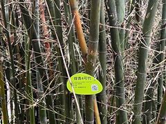 -晓港公园