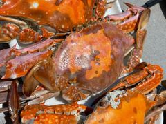 -大锅强·蒸海鲜青岛菜(吾悦广场店)