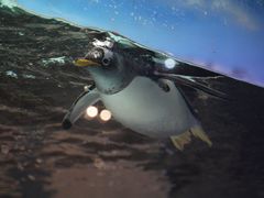 -成都浩海立方海洋公园