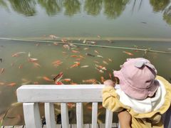 -杭州六谷生态休闲农庄有限公司