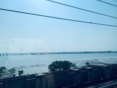 -宝安西湾红树林湿地公园