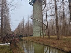 -黄海国家森林公园