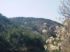 -无染寺
