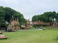 -春花秋色城市公园