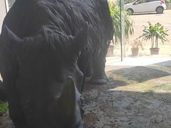 -中国第四纪冰川遗迹陈列馆