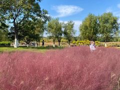 -天津东丽湖风景区